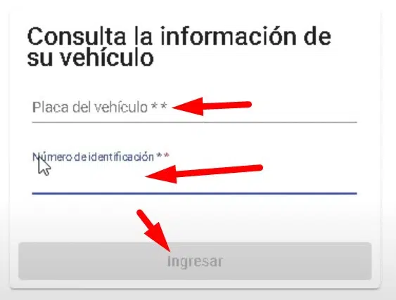 Impuesto Vehicular Guaviare placa e identificacion