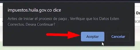 Impuesto Vehicular Huila Aceptar continuar