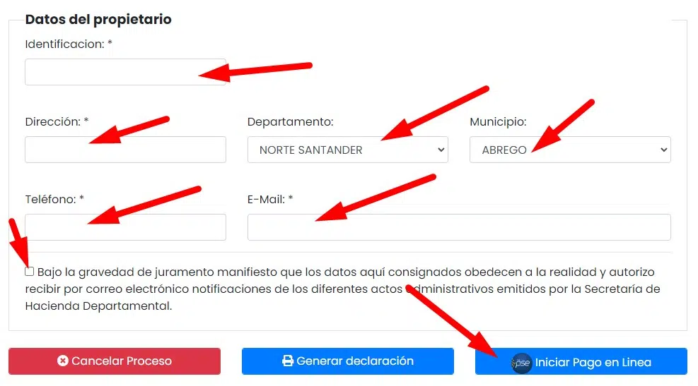 Impuesto Vehicular Norte de Santander Datos del propietario