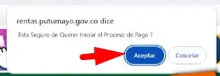 Impuesto Vehicular Putumayo Aceptar notificacion