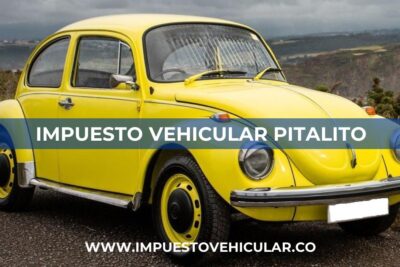 Impuesto Vehicular Pitalito (Huila)